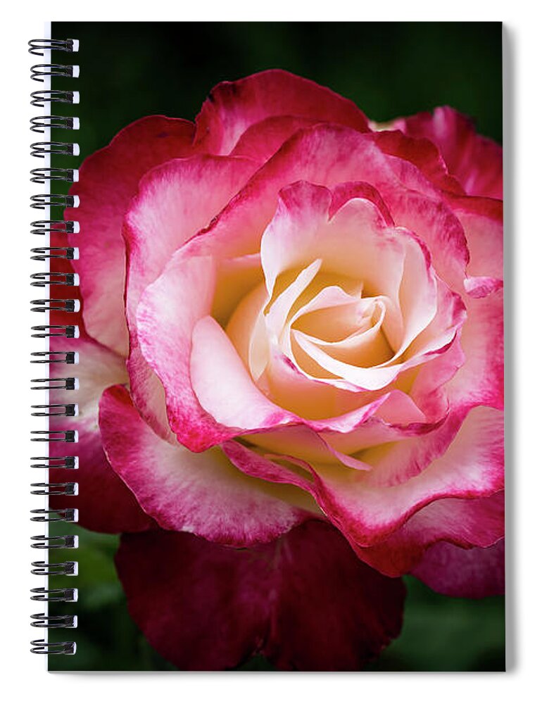 Rose Spiral Notebook featuring the photograph Be Bolder by Vanessa Thomas