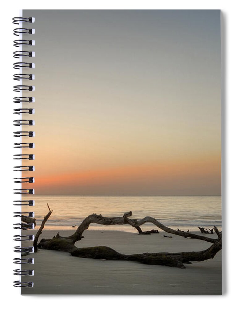 Driftwood Spiral Notebook featuring the photograph Beach Art by Greg and Chrystal Mimbs