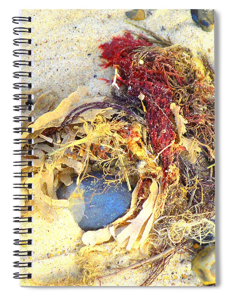 Beach Spiral Notebook featuring the photograph Beach Art by Susan Baker