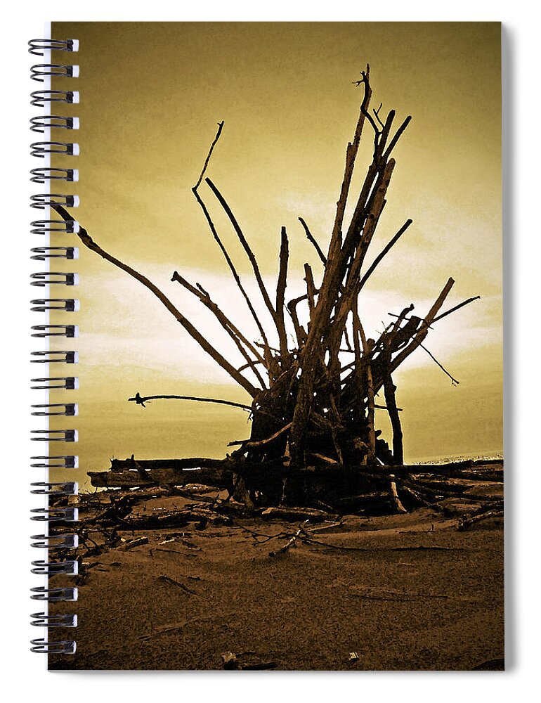 Oregon Spiral Notebook featuring the digital art Beach Assemblage by Gary Olsen-Hasek