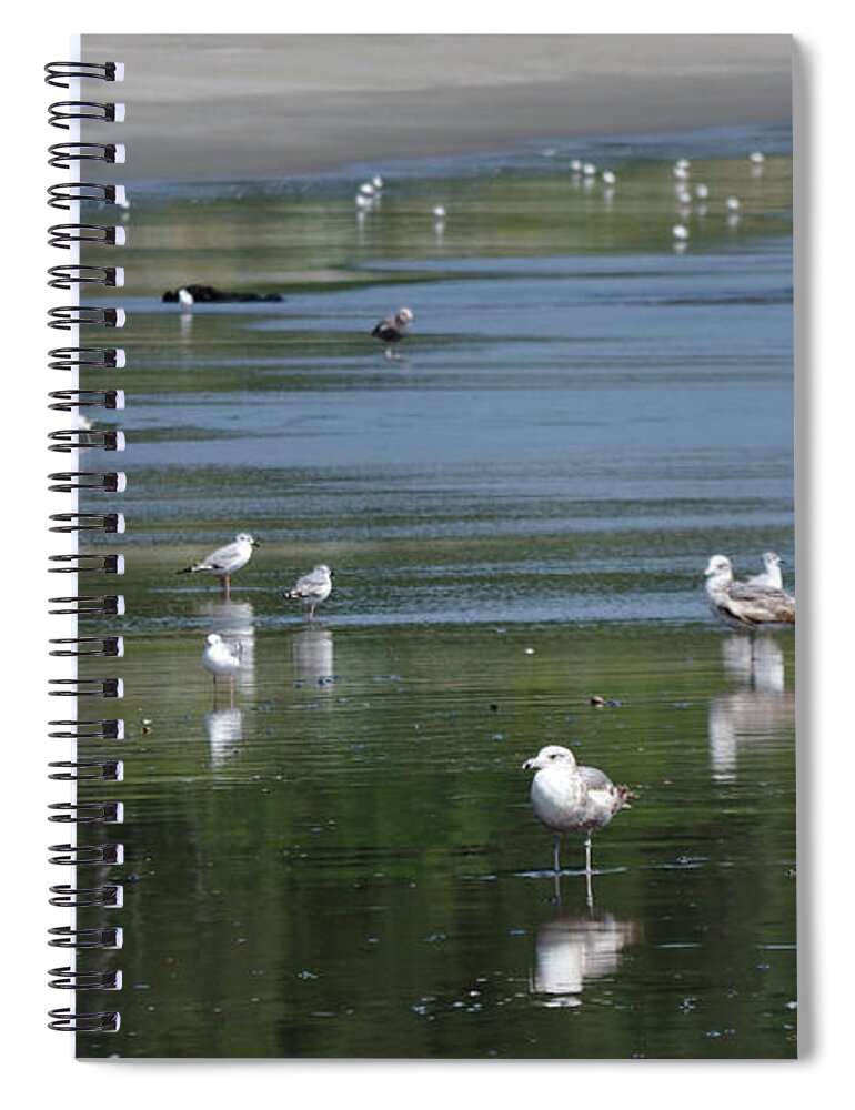 Adria Trail Spiral Notebook featuring the photograph Beach Birds by Adria Trail