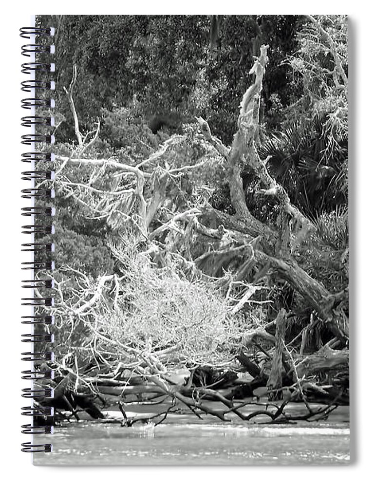 Beach Spiral Notebook featuring the photograph Beach Bones by D Hackett