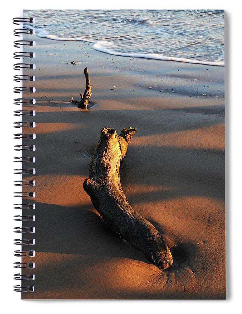 Beach Spiral Notebook featuring the photograph Beach Driftwood by Ted Keller