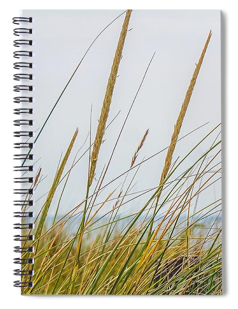  Spiral Notebook featuring the photograph Beach grass by Kendall McKernon