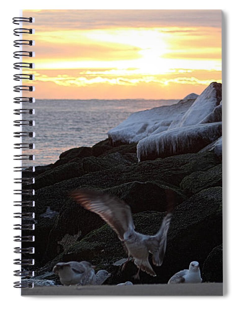 Gull Spiral Notebook featuring the photograph Beach Landing At The Jetty by Robert Banach