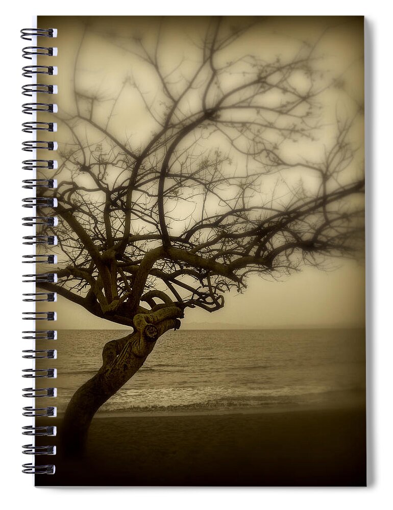 Tree Spiral Notebook featuring the photograph Beach Tree by Perry Webster