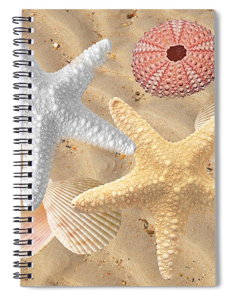 Sea Star Spiral Notebook featuring the photograph Beachcombing by Gill Billington