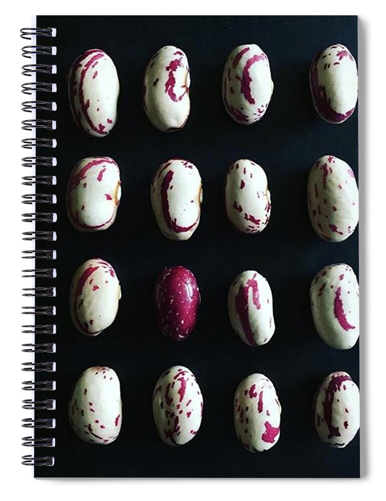 Thingsorganizedneatly Spiral Notebook featuring the photograph Beans, Beautiful Beans! I Love The by Ginger Oppenheimer
