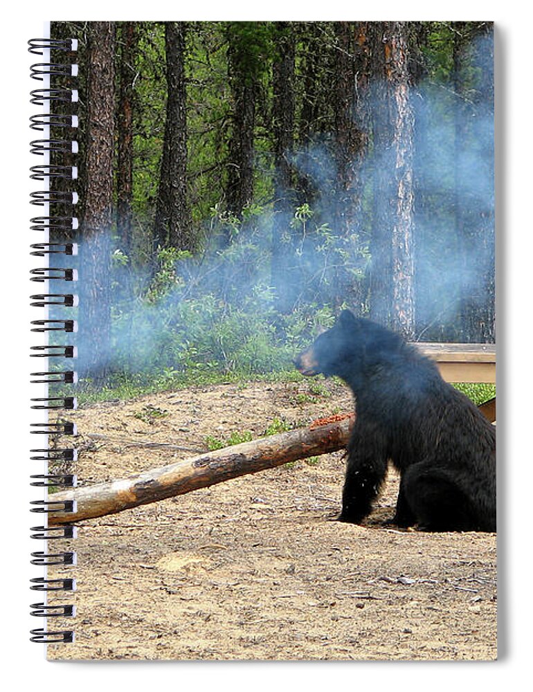 Black Spiral Notebook featuring the photograph Bear Chef by Ted Keller