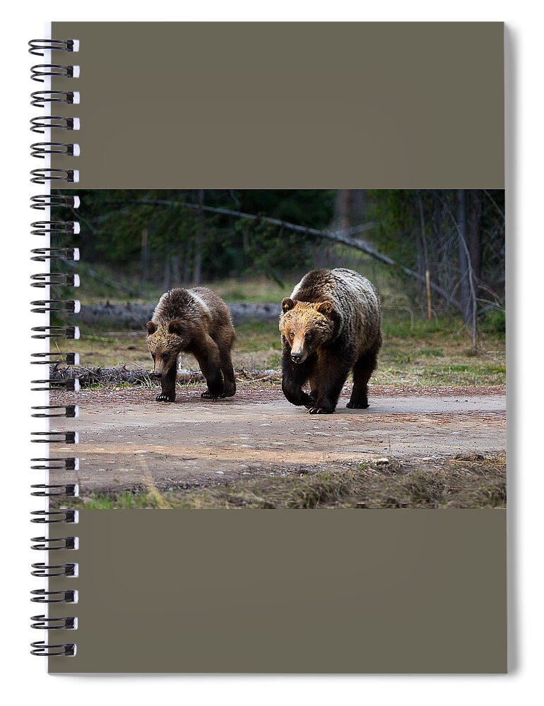 Bear Spiral Notebook featuring the photograph Bear Crossing by Carolyn Mickulas
