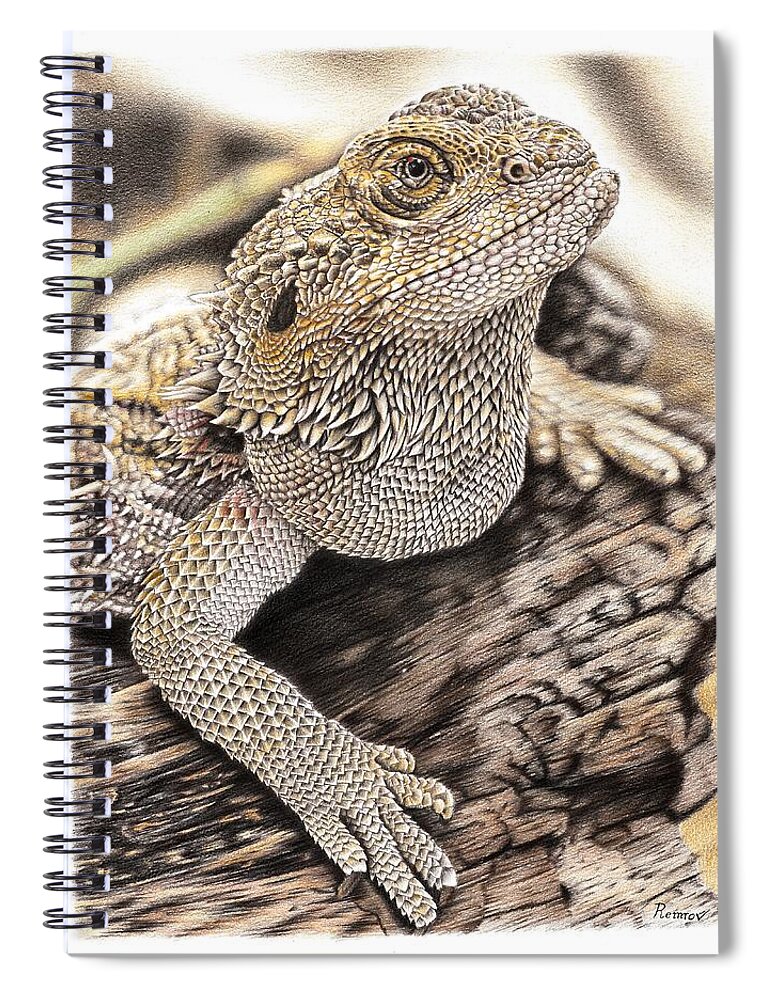 Bearded Dragon Spiral Notebook featuring the drawing Bearded Dragon by Casey 'Remrov' Vormer