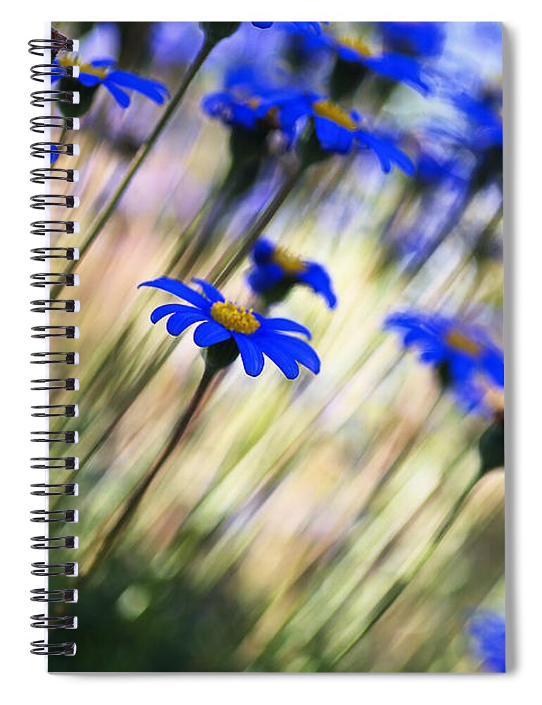 Beautiful Spiral Notebook featuring the photograph Beautiful Dancing Blue Flowers Romance by Joy Watson