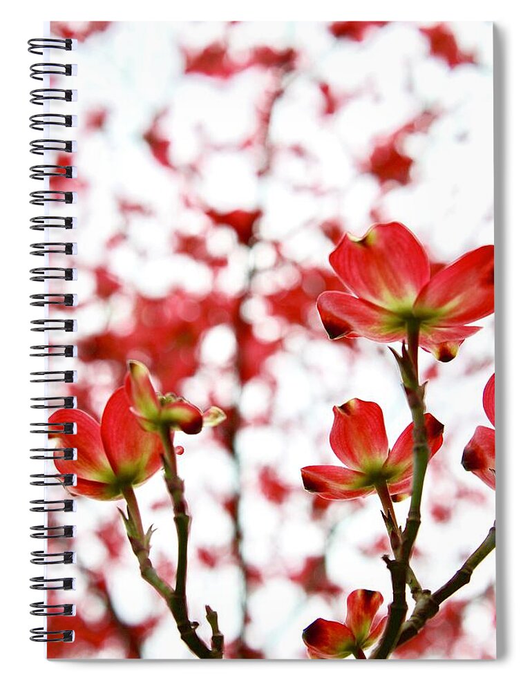 Photography Spiral Notebook featuring the photograph Beautiful Dogwood Red Blooms by M E