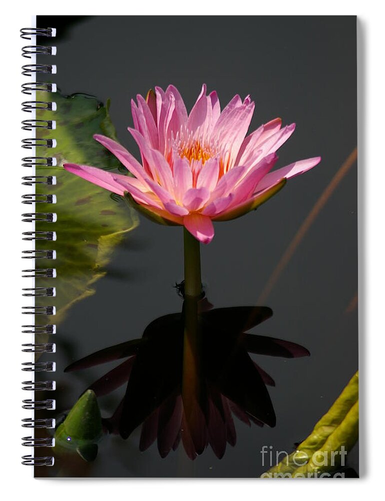 Beautiful Spiral Notebook featuring the photograph Beautiful Purple Lotus Waterlily by Jackie Irwin