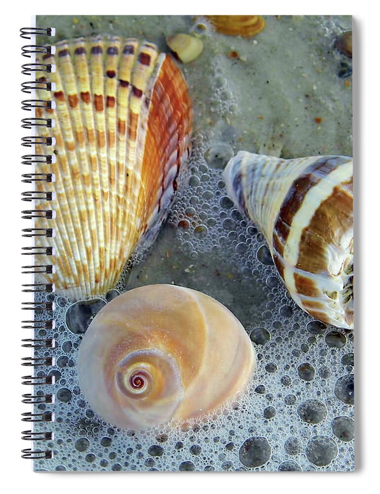 Amelia Island Spiral Notebook featuring the photograph Beautiful Shells In The Surf by D Hackett
