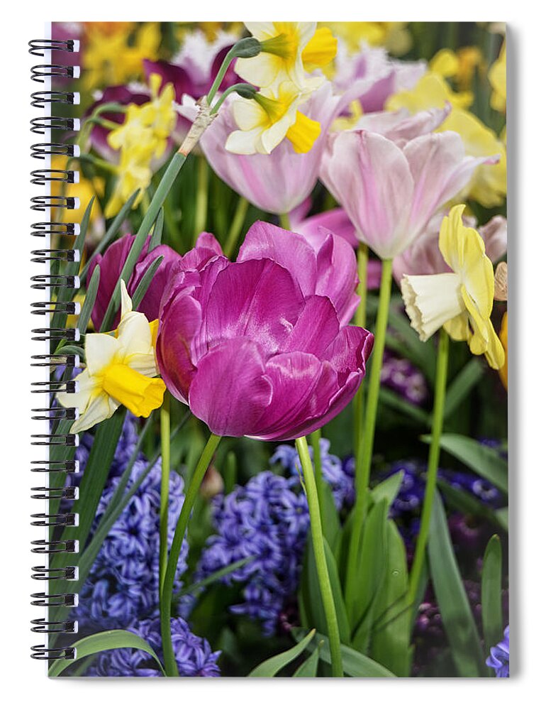 Beauty Spiral Notebook featuring the photograph Beautiful Time of Year by Mike Martin
