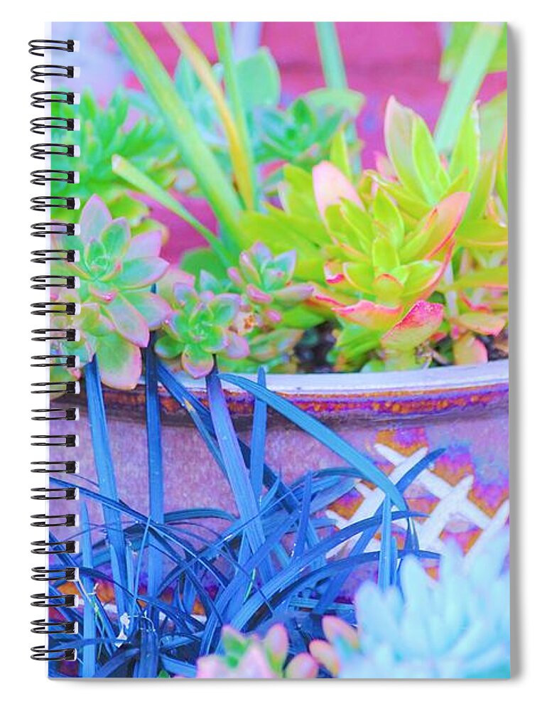 Plants Spiral Notebook featuring the photograph Beautifully Potted by Merle Grenz