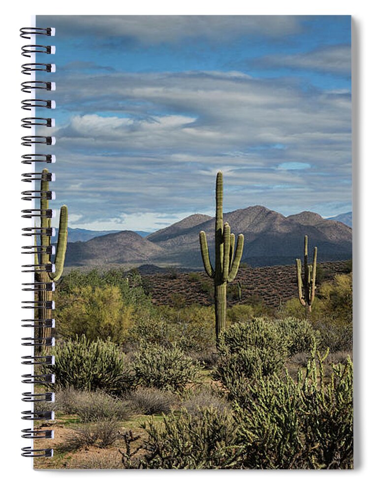 Arizona Spiral Notebook featuring the photograph Beauty of the Sonoran by Saija Lehtonen