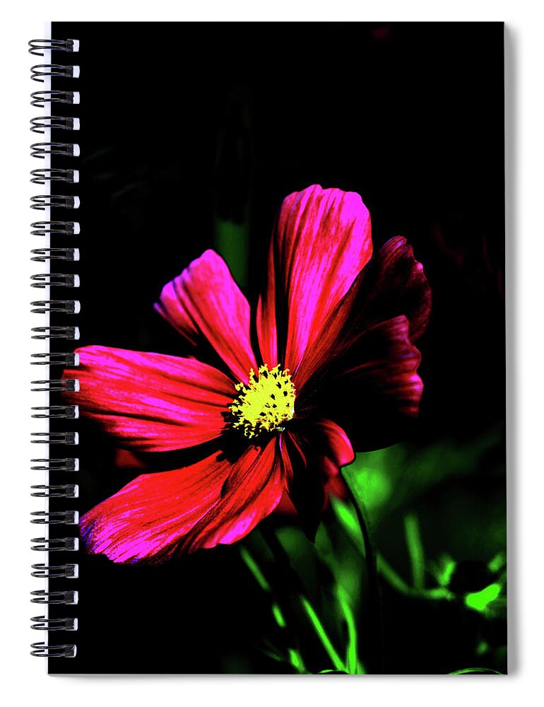Nature Spiral Notebook featuring the photograph Beauty by Tom Prendergast