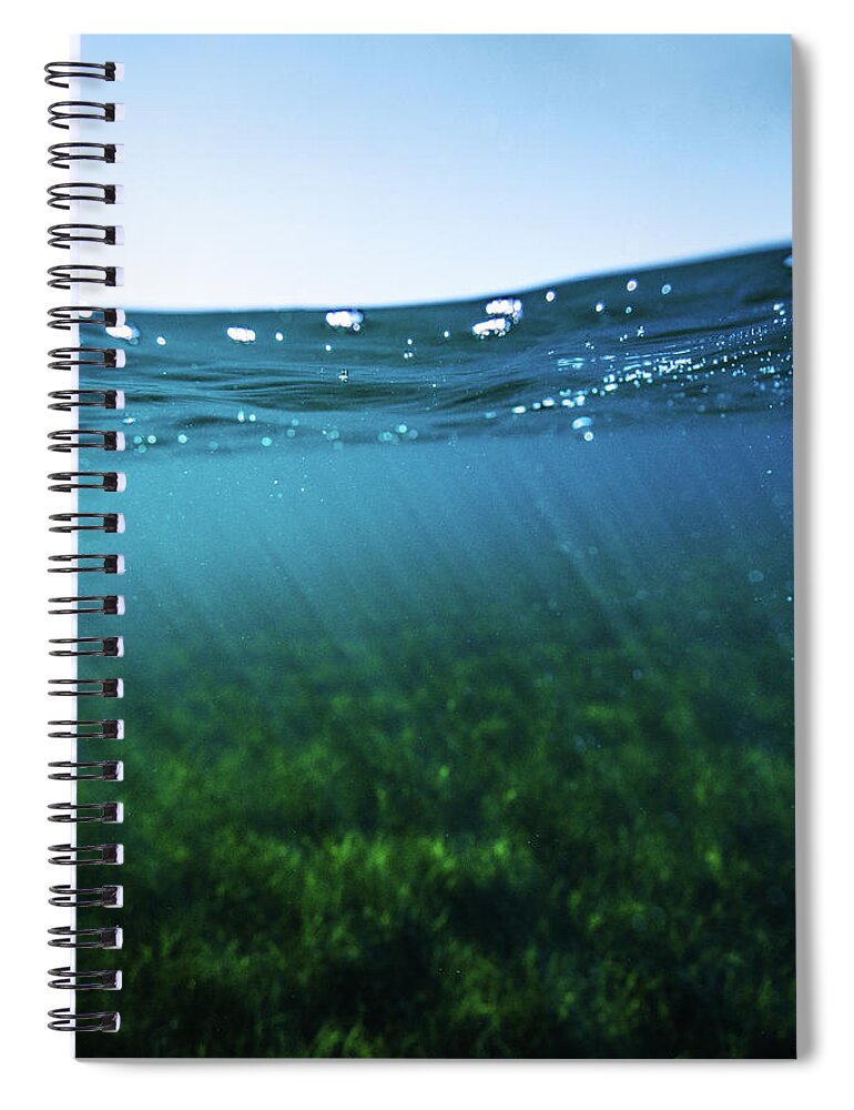 Underwater Spiral Notebook featuring the photograph Beauty Under the Water by Gemma Silvestre