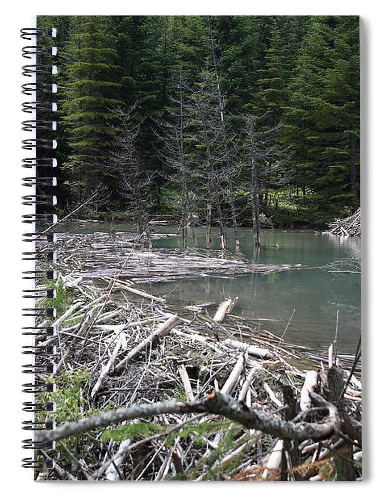Beaver Spiral Notebook featuring the photograph Beaver Dam And Lodge by Ted Kinsman