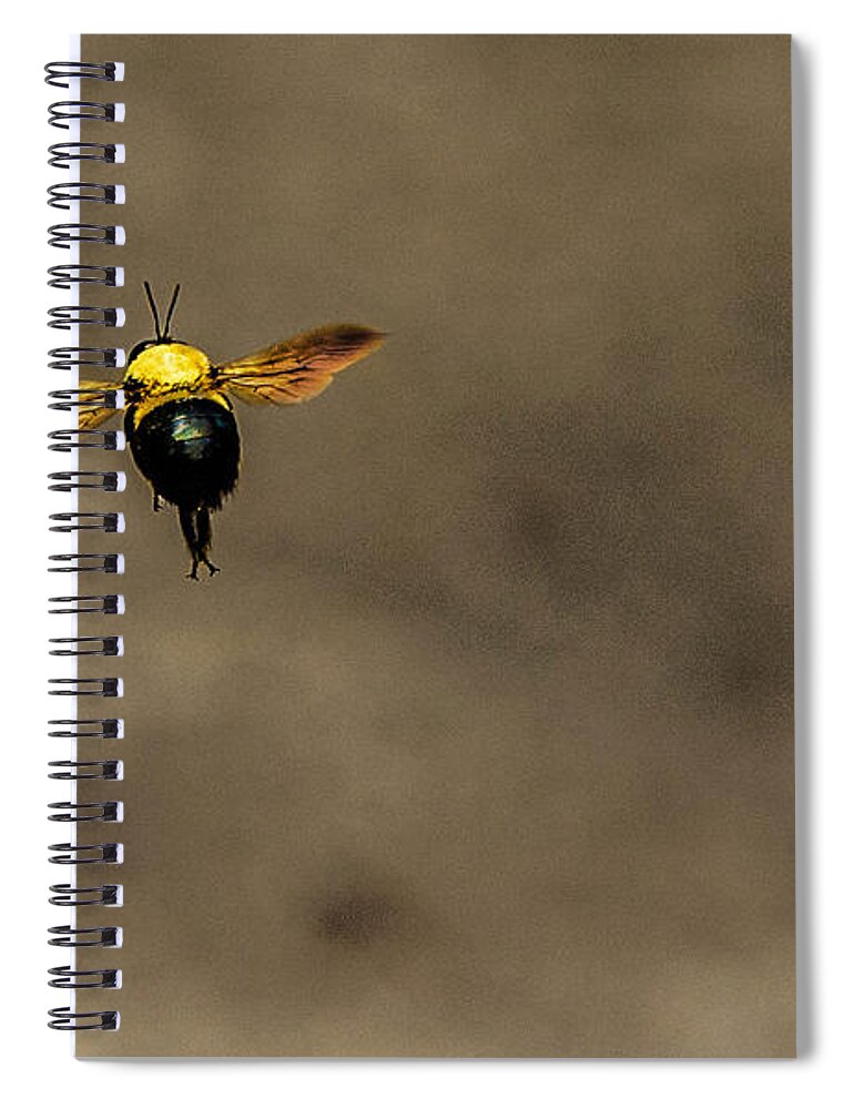 Bee Spiral Notebook featuring the photograph Bee Dance by Metaphor Photo