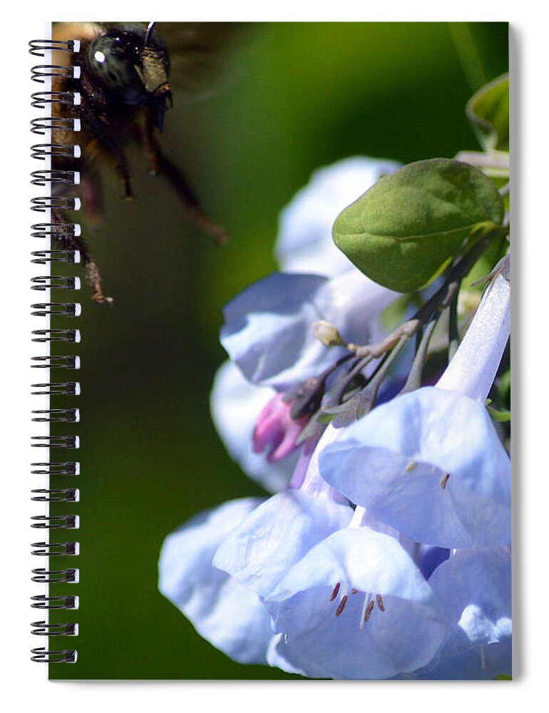 Bumblebee Spiral Notebook featuring the photograph Bee Delight by Kathy Kelly