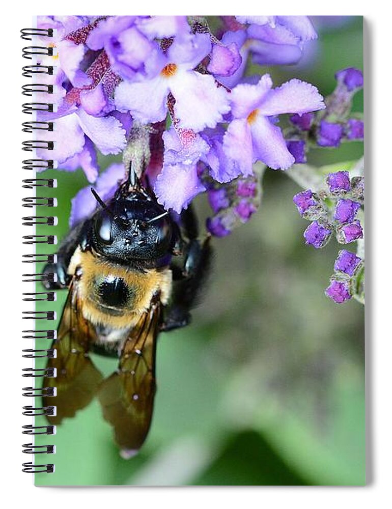 Bee Spiral Notebook featuring the photograph Bee-Lieve by Cindy Manero