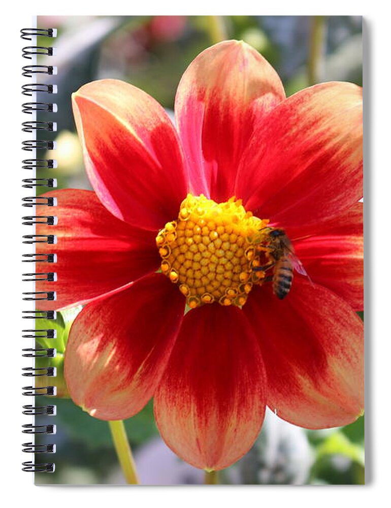 Bee Spiral Notebook featuring the photograph Bee on a Flower by Christy Pooschke