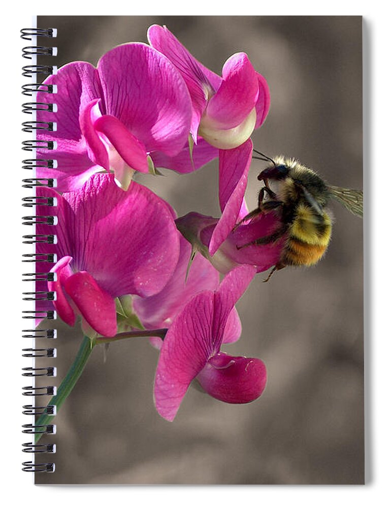 Bee Spiral Notebook featuring the photograph Bee on a Sweet Pea by Wayne Enslow