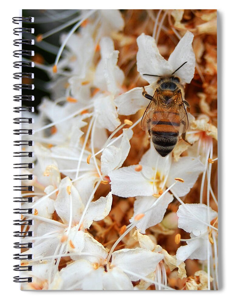 Flower Spiral Notebook featuring the photograph Bee on Flowers 2 by Amy Fose
