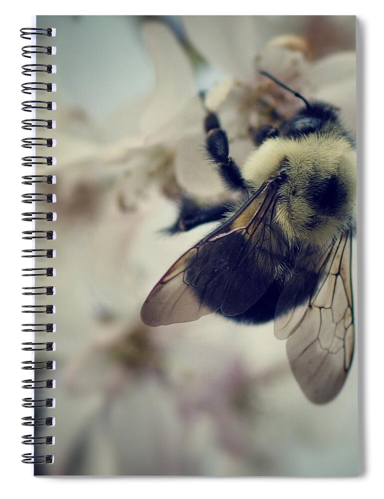 Bee Spiral Notebook featuring the photograph Bee by Sarah Coppola