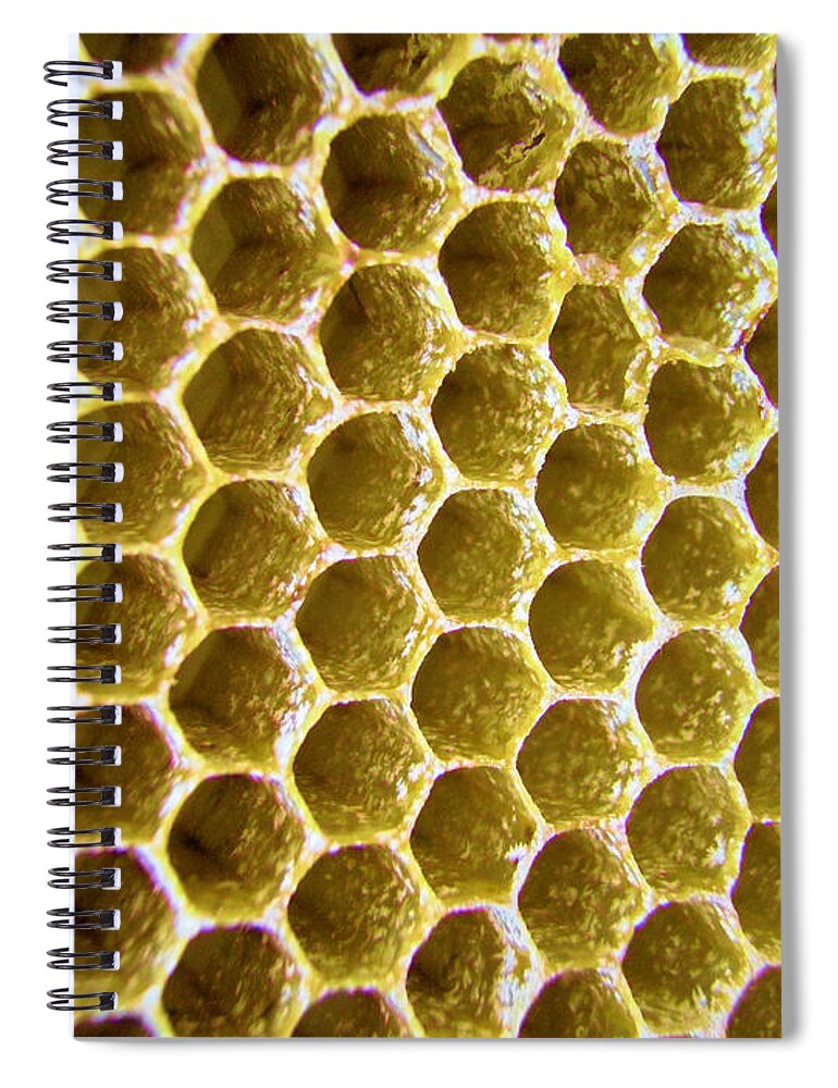 Honey Spiral Notebook featuring the photograph Bee's Home by Nicole Angell