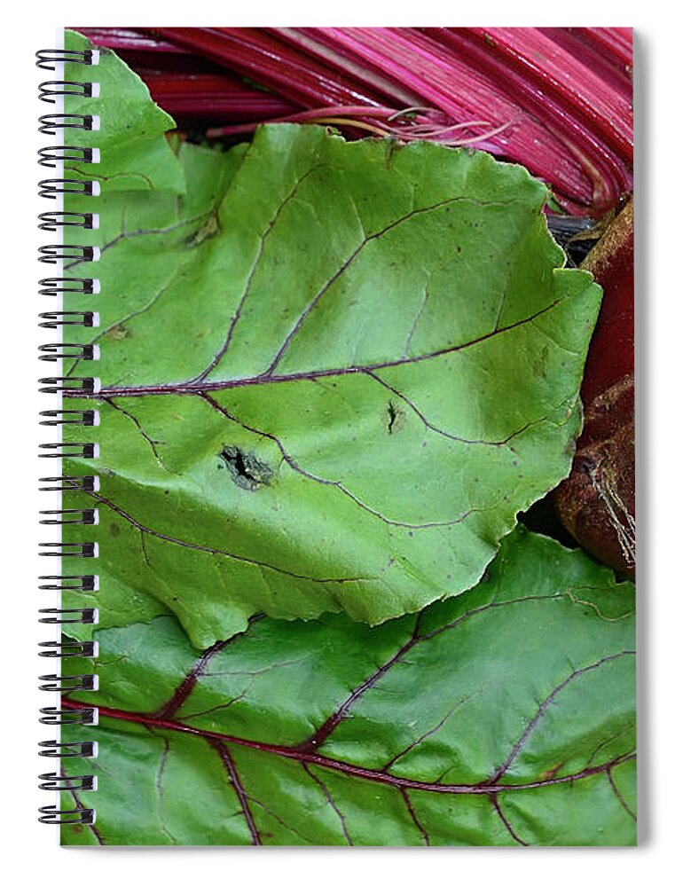 Beetroot Spiral Notebook featuring the photograph Beetroot by Olga Hamilton