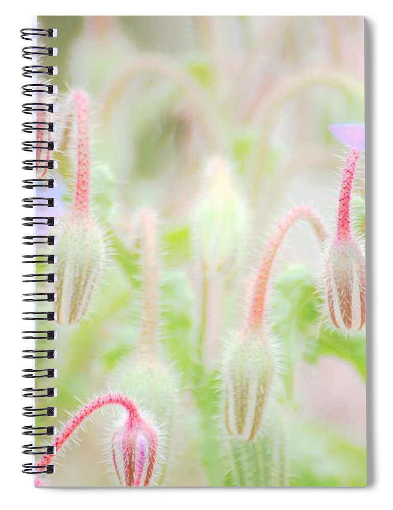Flowers Spiral Notebook featuring the photograph Before all the Blooms by Merle Grenz
