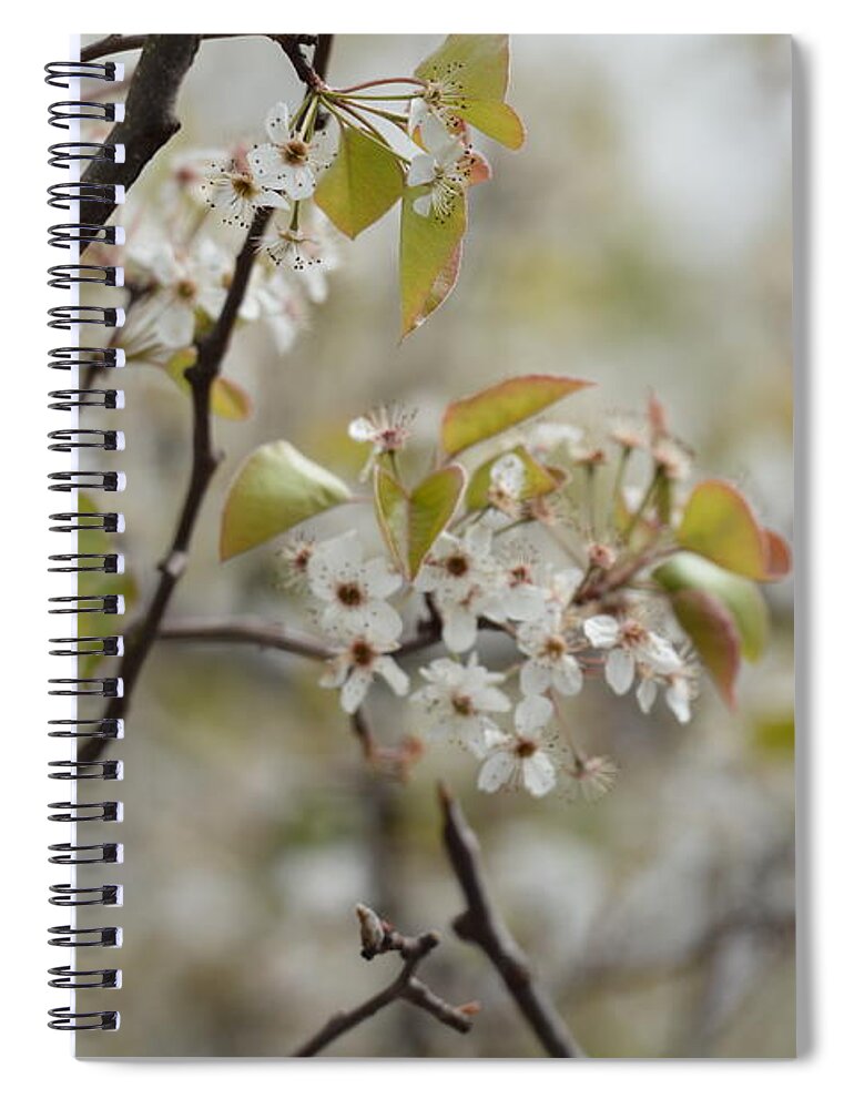 Before The Spring Rain Spiral Notebook featuring the photograph Before the Spring Rain by Maria Urso