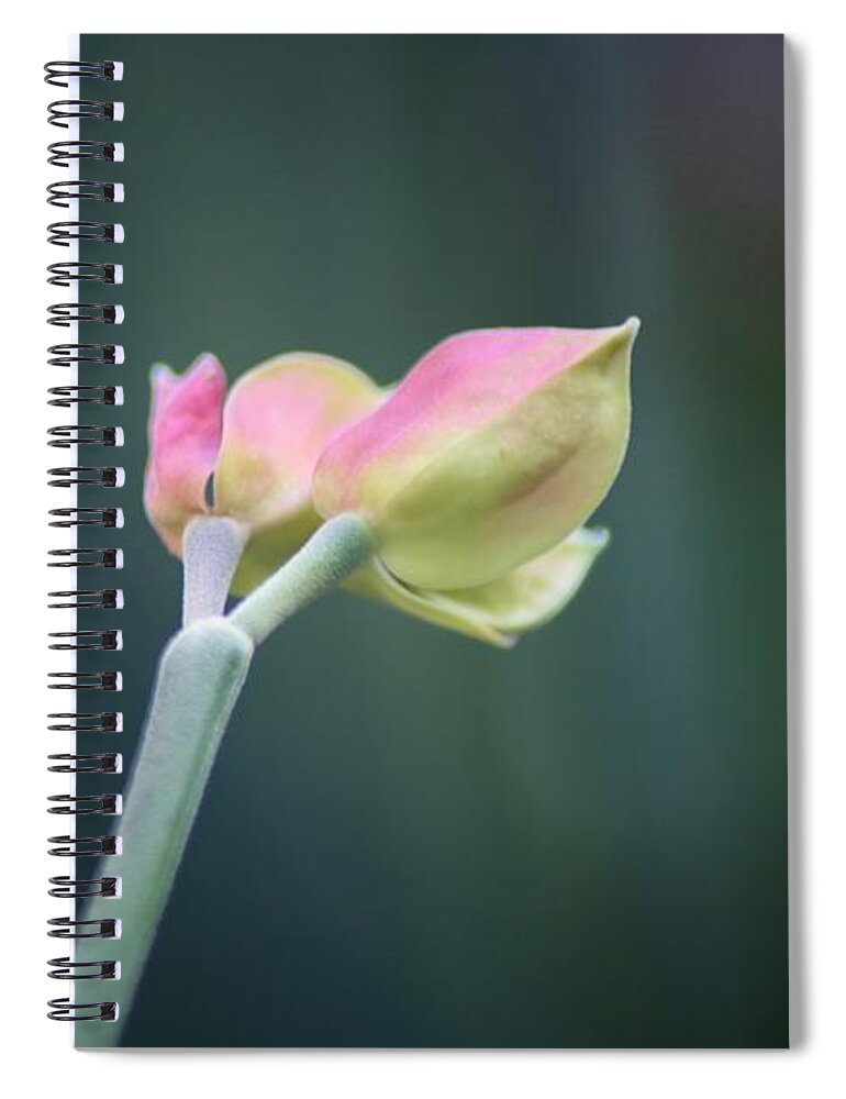 Landscape Spiral Notebook featuring the photograph Beginning by Sheila Ping