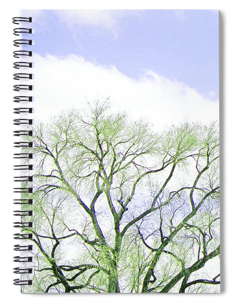 Abstract Spiral Notebook featuring the photograph Beginnings by Lenore Senior