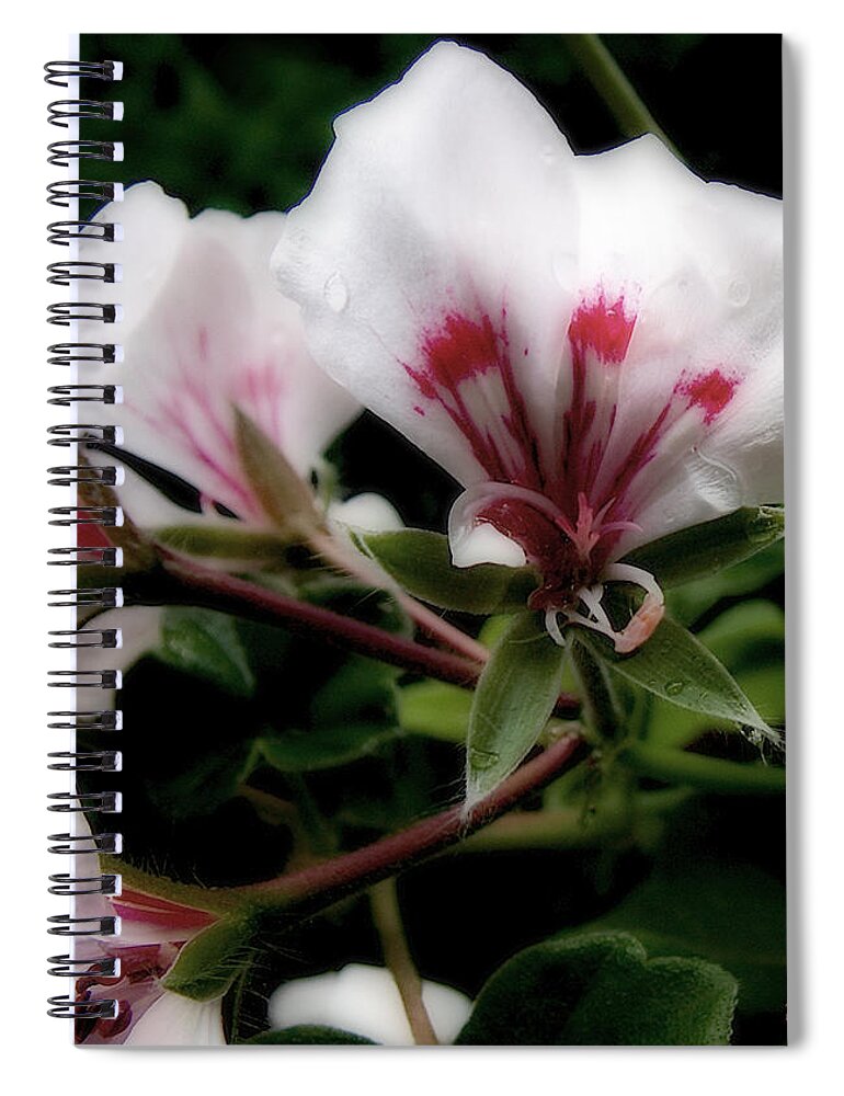 Cherry Spiral Notebook featuring the photograph Bejewelled by RC DeWinter