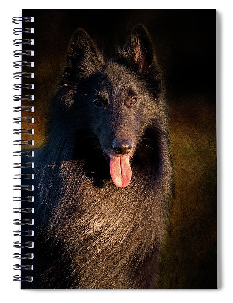 Dog Spiral Notebook featuring the photograph Belgian Groenendael Portrait by Diana Andersen