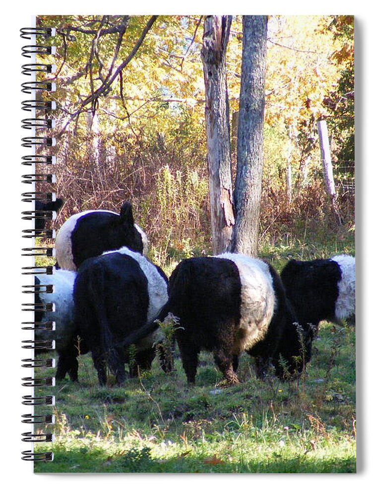 Landscape Spiral Notebook featuring the photograph Belties by Doug Mills