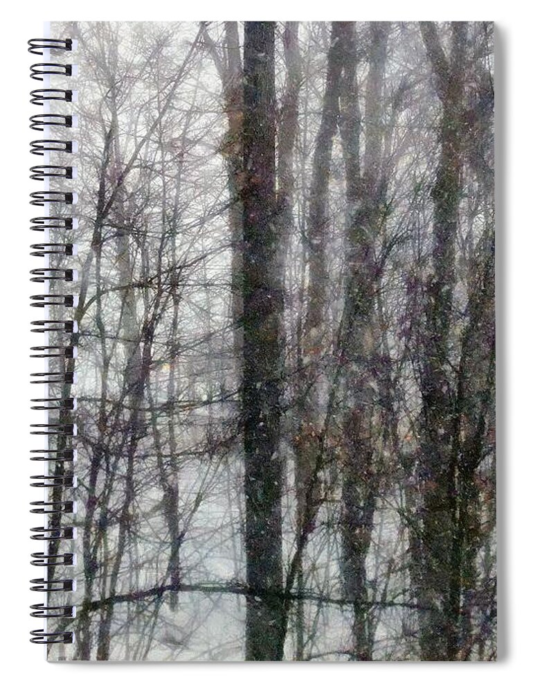 Connecticut Spiral Notebook featuring the painting Benedict Blows By by RC DeWinter