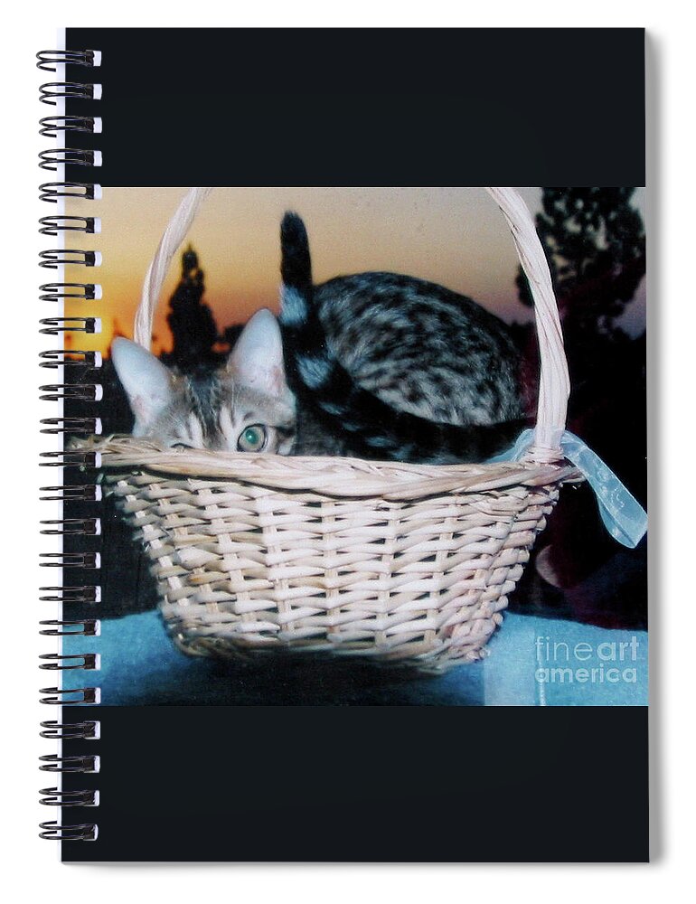 Bengal Cat Spiral Notebook featuring the photograph Bengal Cat at Sunset by Phyllis Kaltenbach