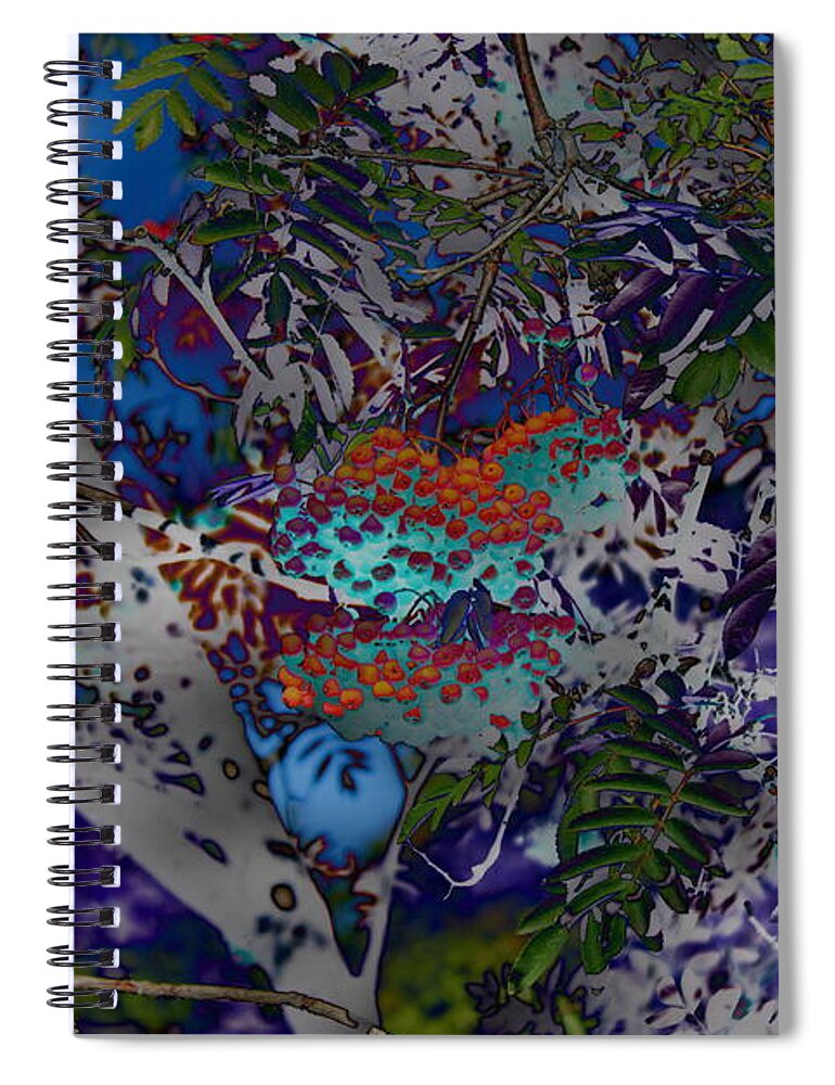 Surreal Spiral Notebook featuring the photograph Berries by Jean Evans