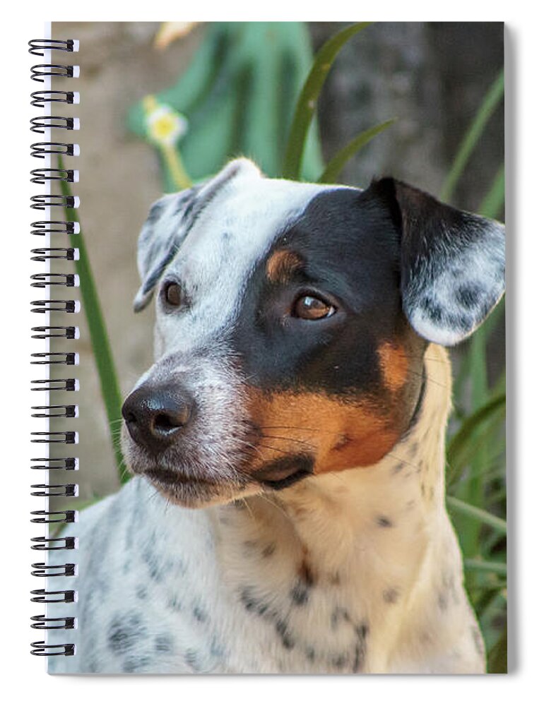 Dog Spiral Notebook featuring the photograph Best Friend by Fred Boehm
