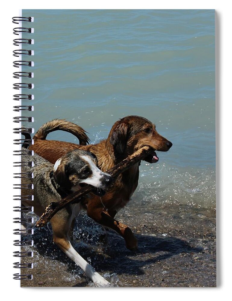 Dogs Spiral Notebook featuring the photograph Best Friends by Kaeleigh Gray