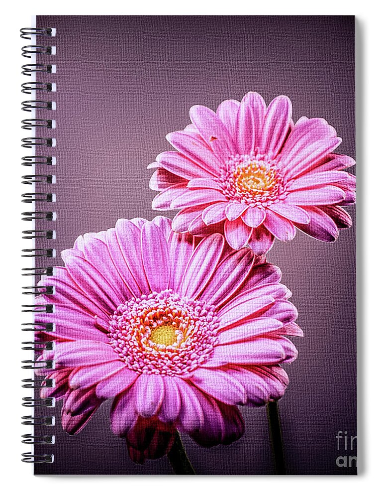 Mona Stut Spiral Notebook featuring the photograph Best Friends Pink by Mona Stut
