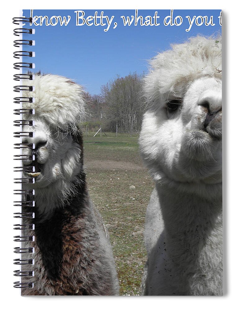 Alpaca Spiral Notebook featuring the photograph Betty what do you think by Kim Galluzzo