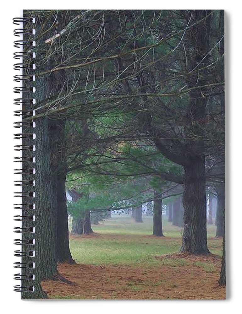 Woodland Spiral Notebook featuring the photograph Beyond the Pines by Bruce Bley