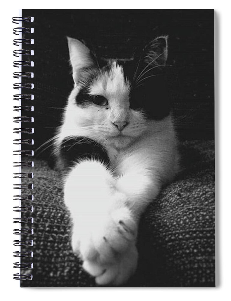 Animals Spiral Notebook featuring the photograph Amelie by Manuel Maniaci